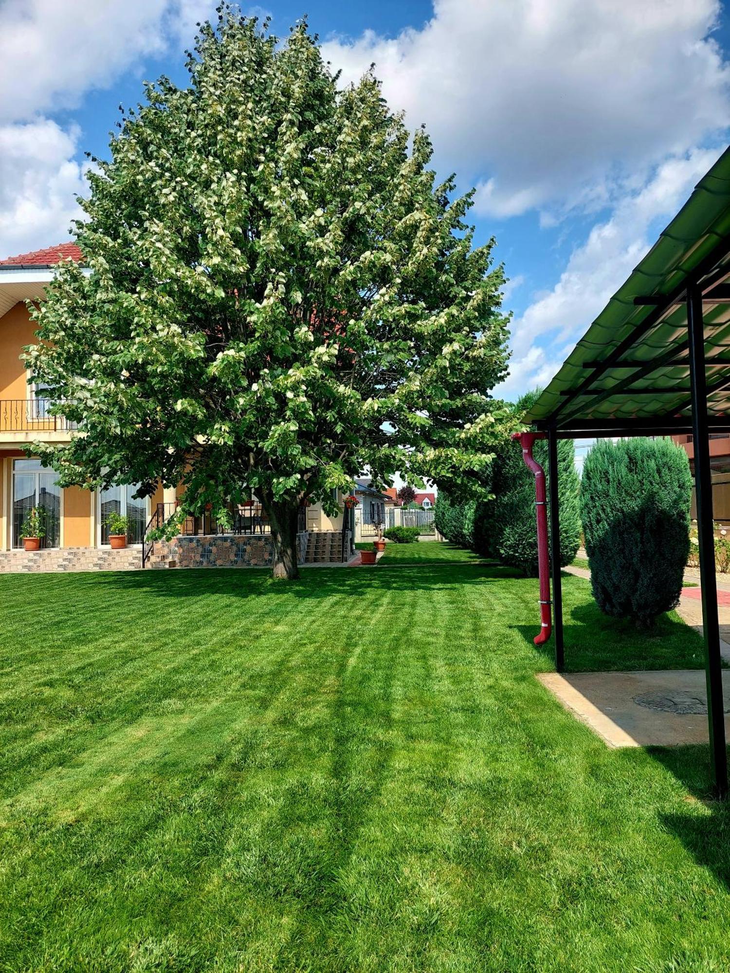 Casuta Cu Tei Villa Oradea Eksteriør bilde